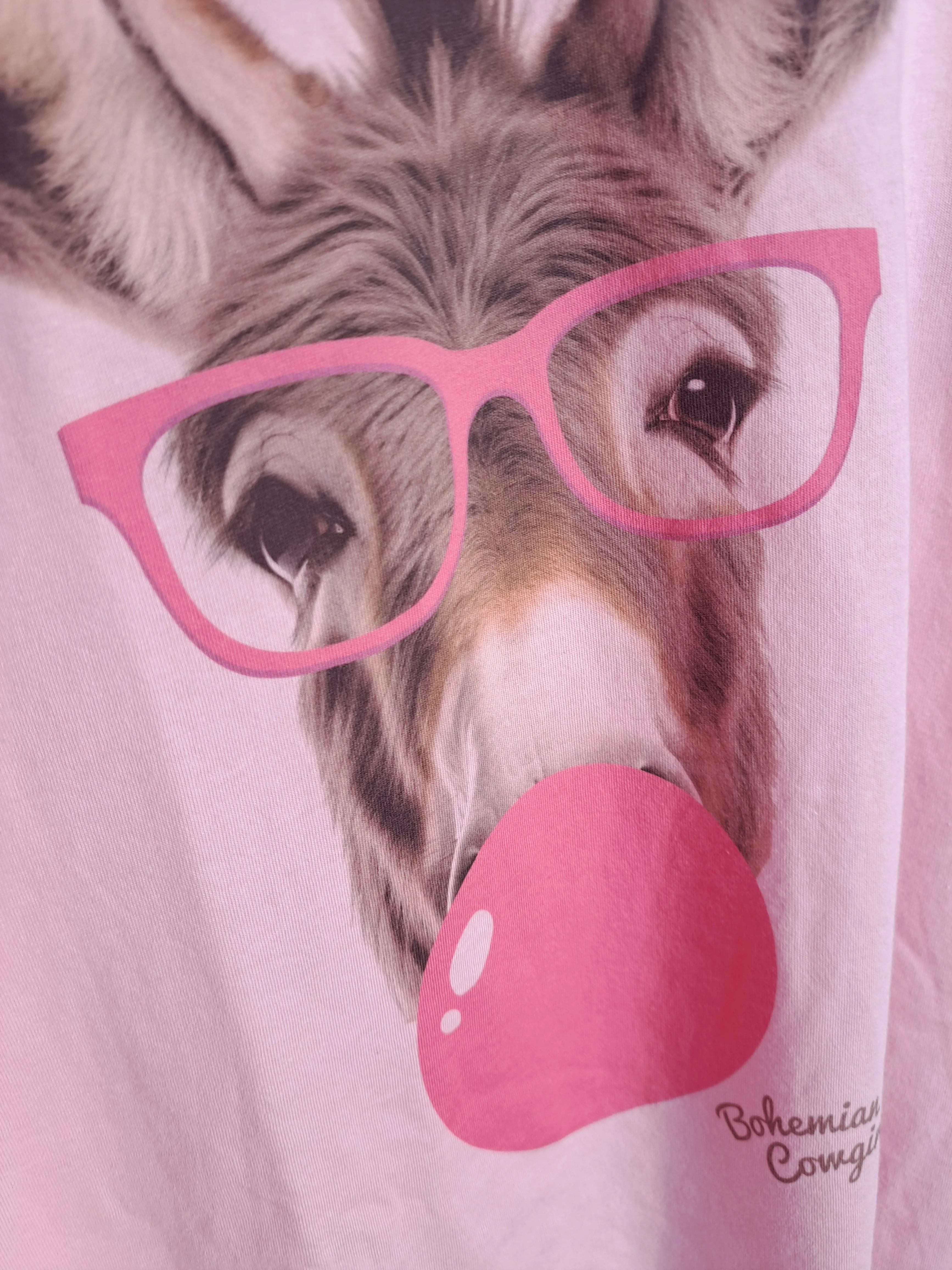 Bubblegum Donkey Long Sleeve Shirt - WS