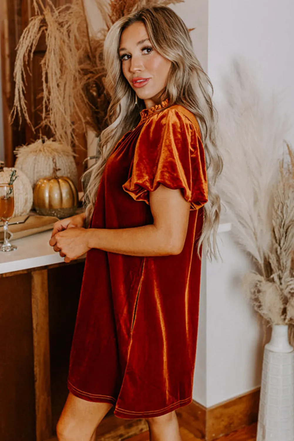 Cinnamon Velvet Smocked Neckline Puff Sleeve Shift Mini Dress