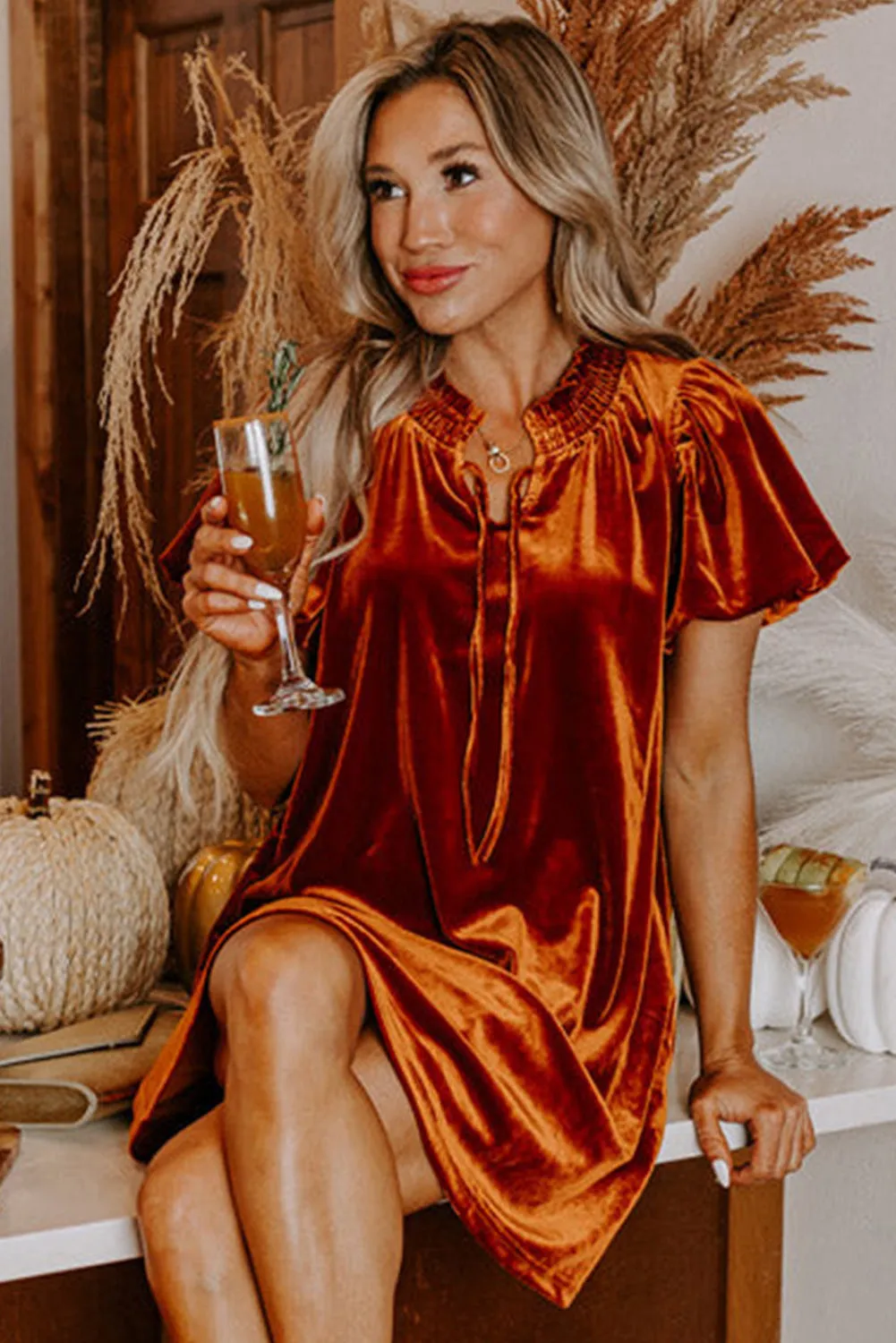 Cinnamon Velvet Smocked Neckline Puff Sleeve Shift Mini Dress