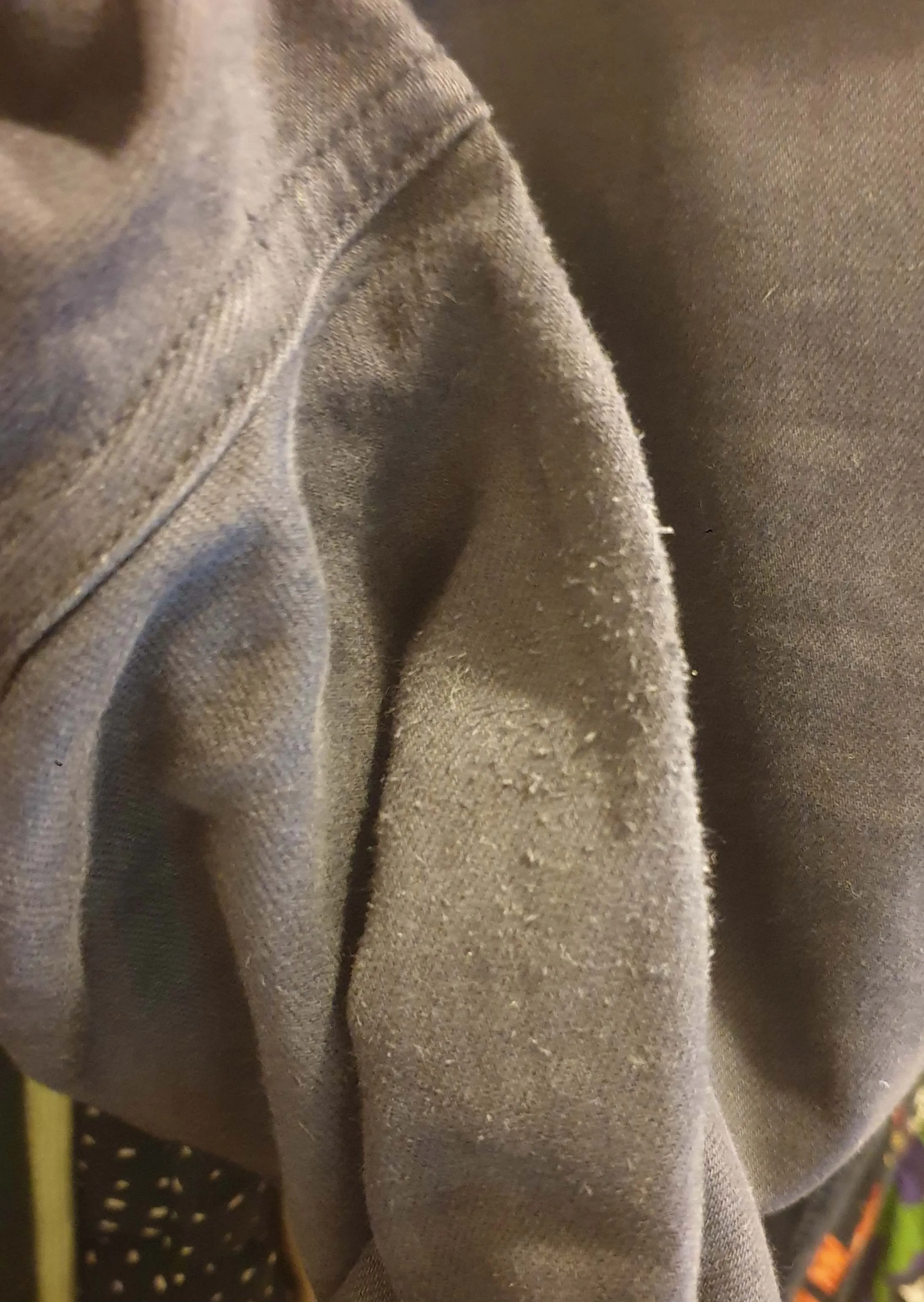 Everlane navy wide leg pants size 16
