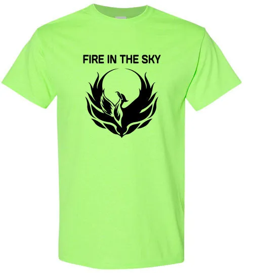 FIRE IN THE SKY