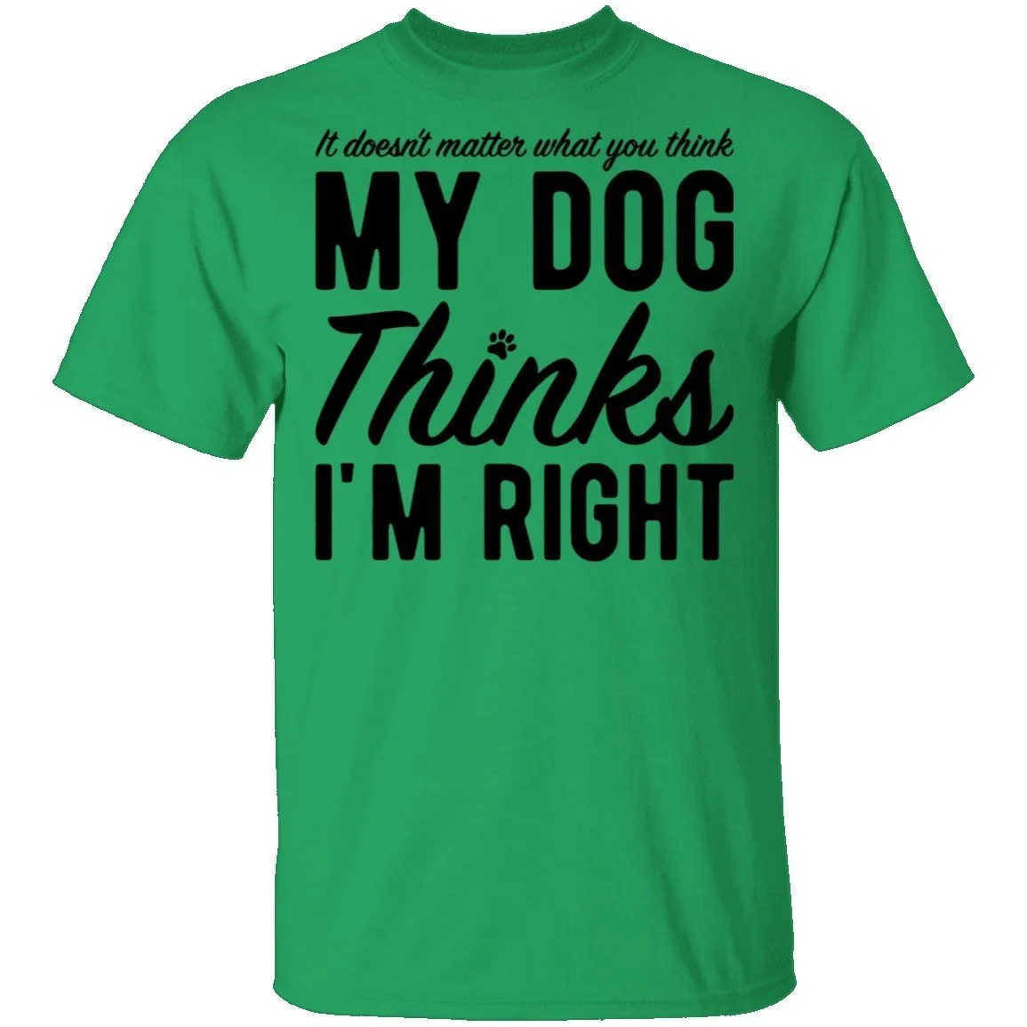 It Doesn't Matter What You Think My Dog Thinks I'm Right T-Shirt