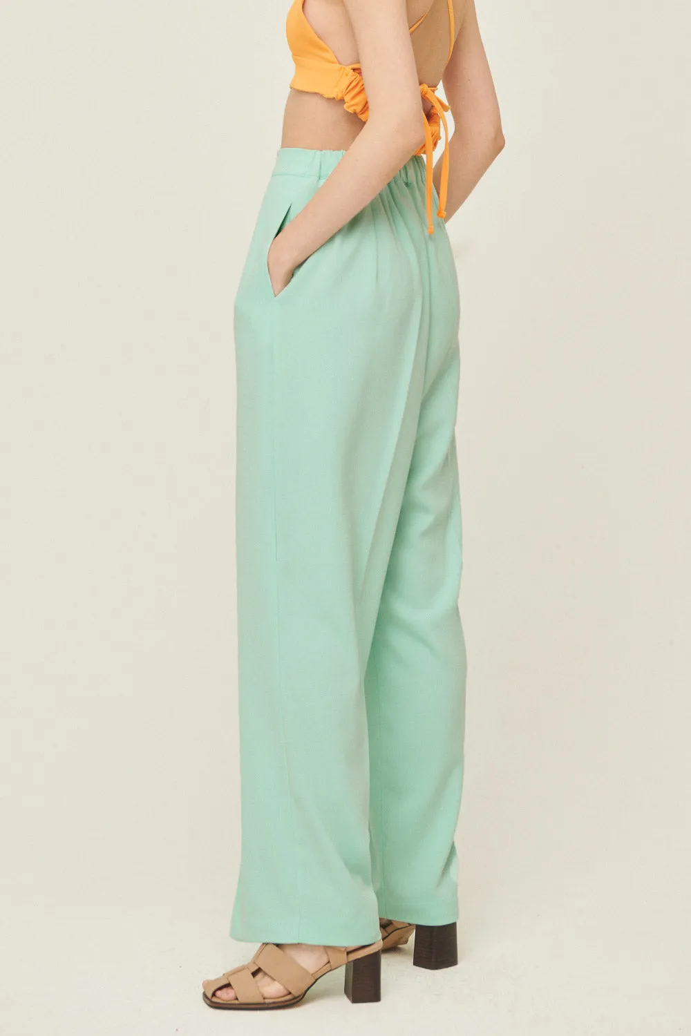 Jania High Wide Leg Pants