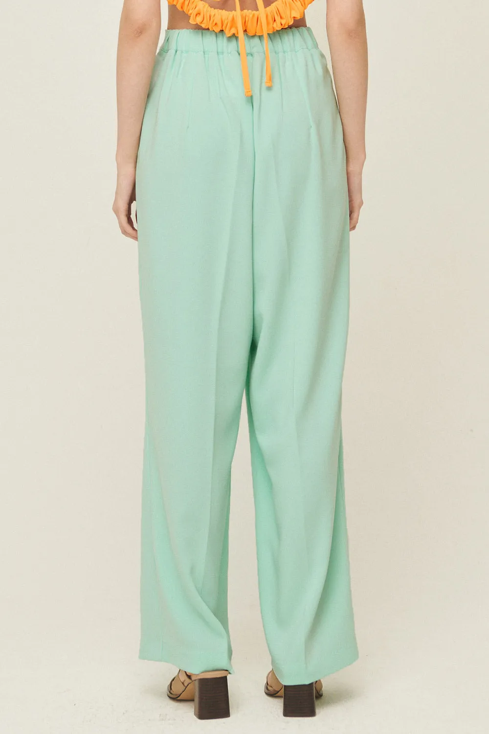Jania High Wide Leg Pants