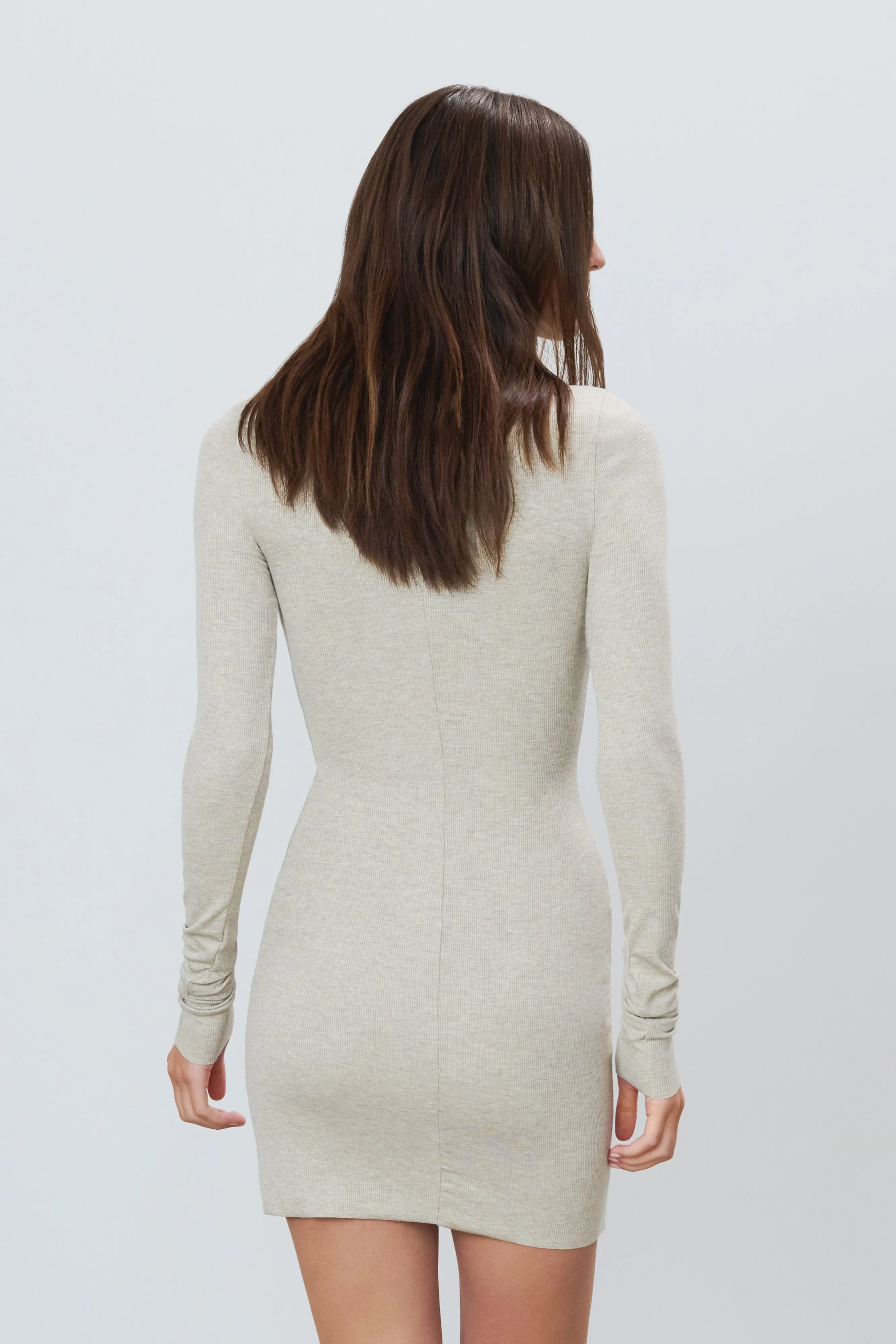 Long Sleeve Crewneck Mini Dress