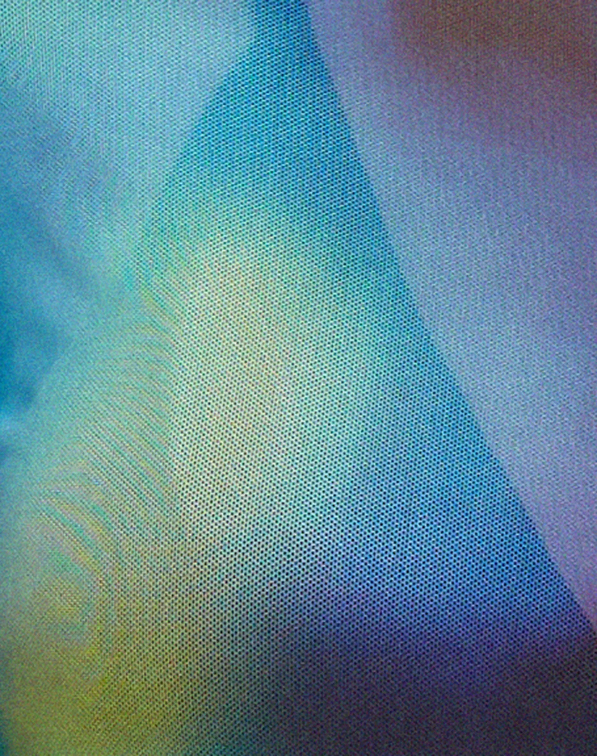 Narita Long Sleeve Crop Top in Mesh Blur Orbs