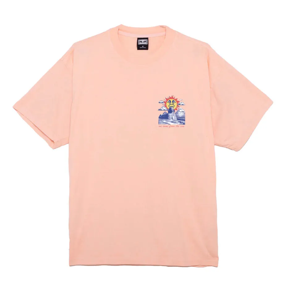 Obey we come from the sun Heavy weight classic box tee