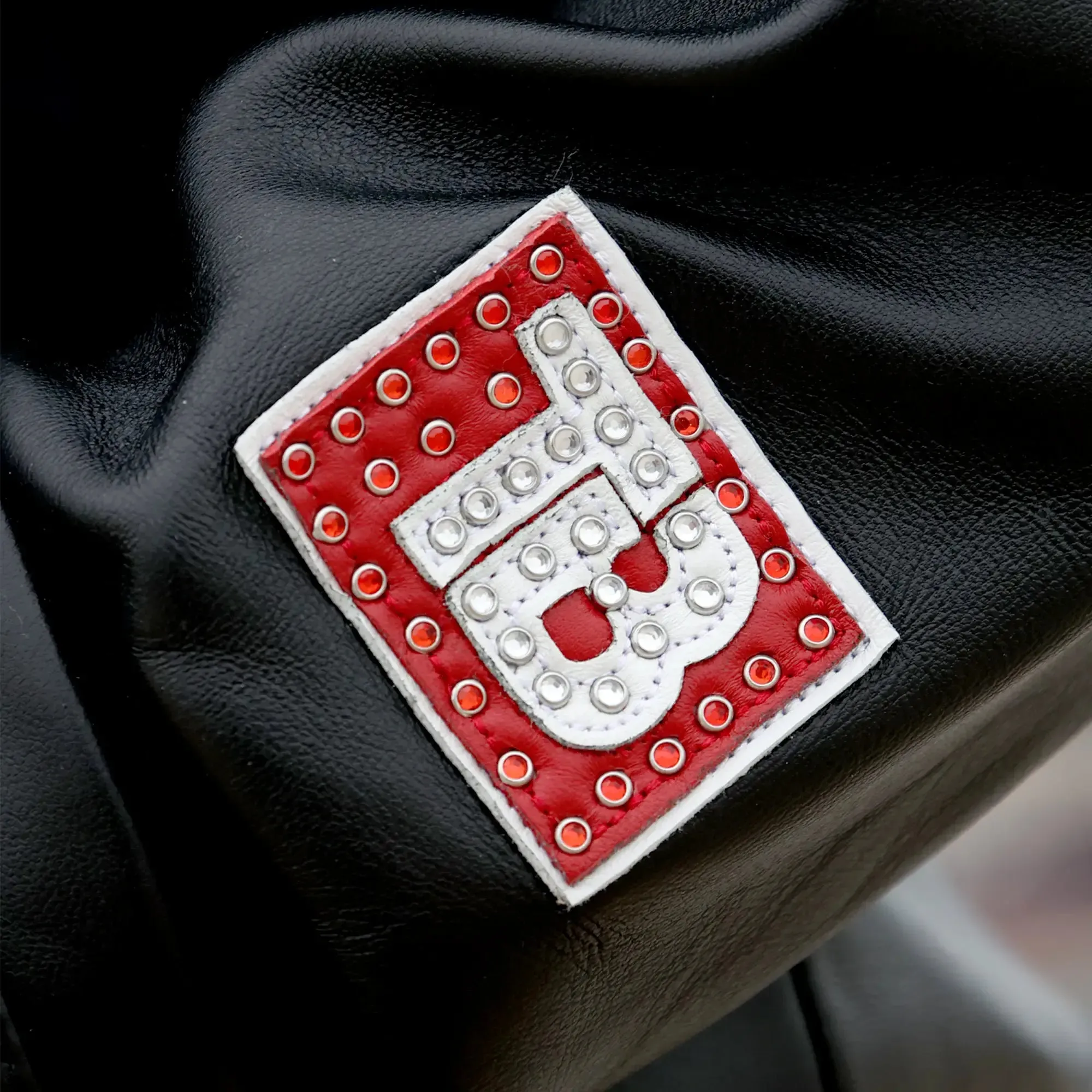 Pelle-Pelle X TB Men's Chi-Town Leather Jacket