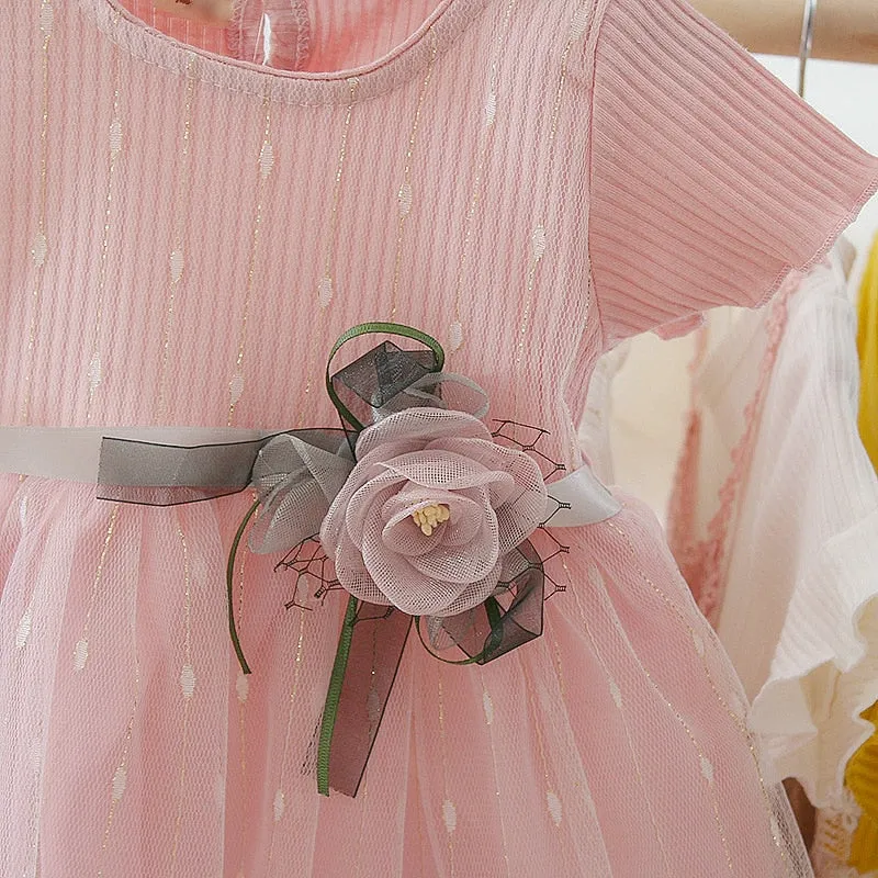 Princess Baby Girl Dress Flower