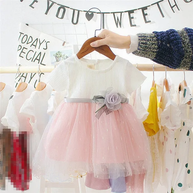 Princess Baby Girl Dress Flower