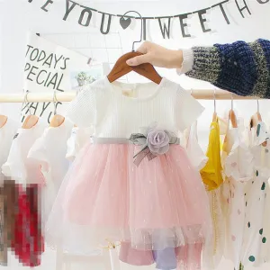 Princess Baby Girl Dress Flower