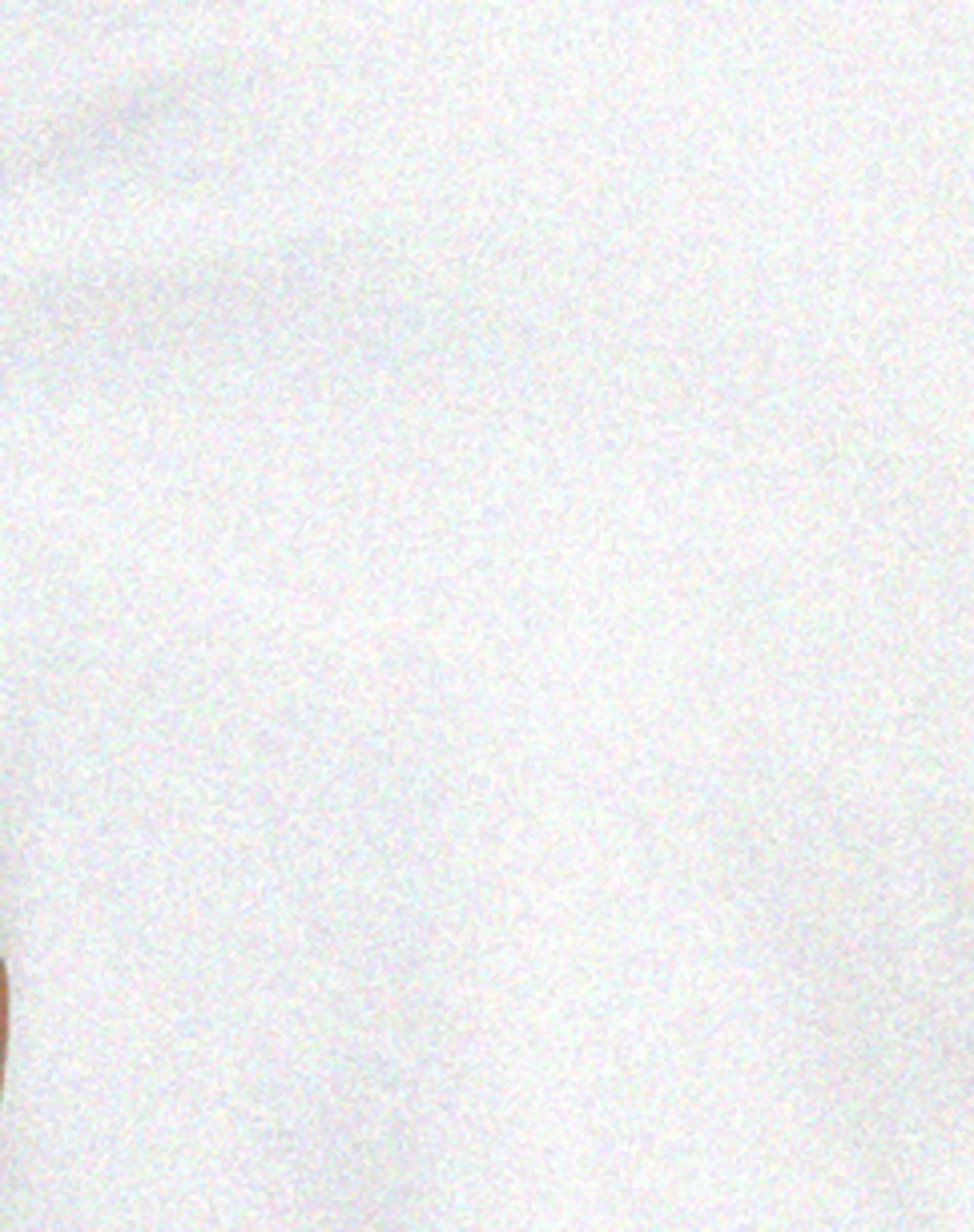 Shima Crop Top in White