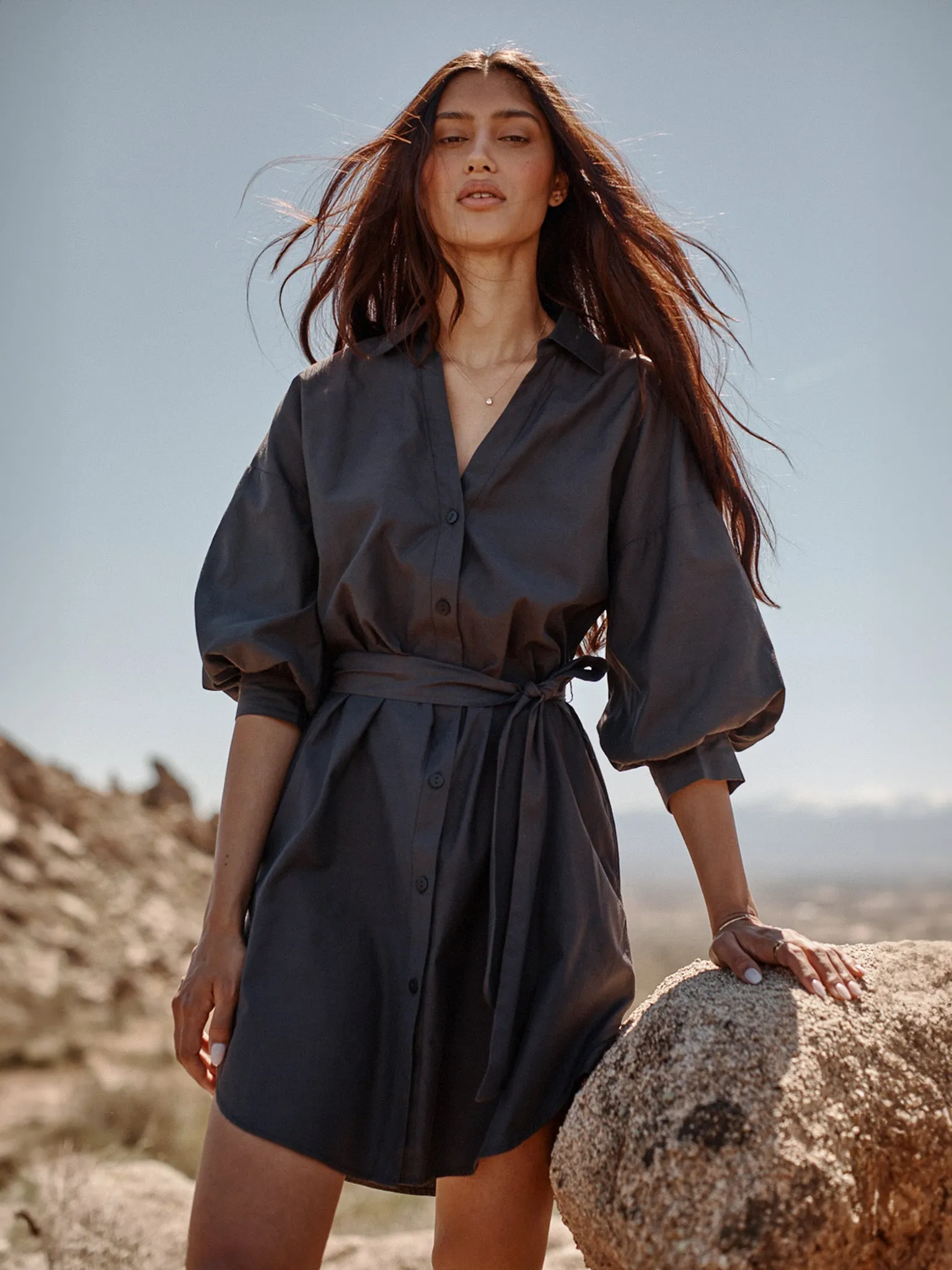 The Kate Belted Dress